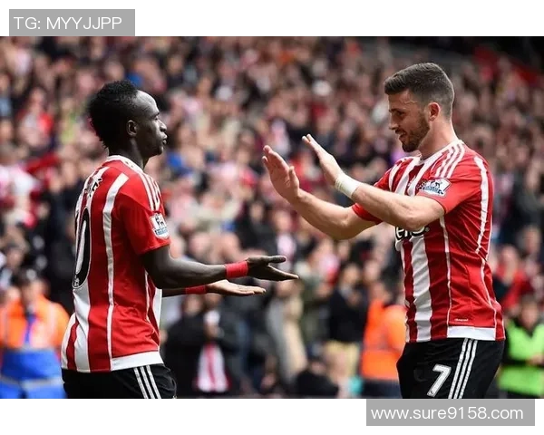 纽卡斯尔对阵南安普顿精彩视频直播全程回顾与分析