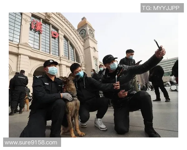 确认了，武汉行将过节！悉数免费